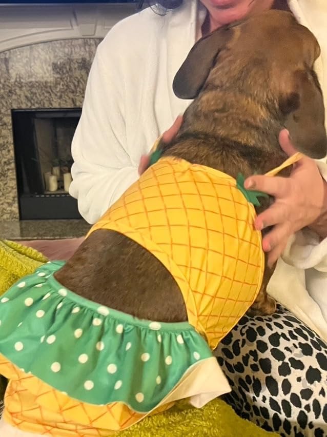 Funny Dog Swimwear Bikini Summer Dog Clothes Beach Swimsuit Puppy Bathing Suit Puppy Vest Cooling Pet Shirt for Small Dogs, Cat Apparel (Large, Yellow Pineapple)