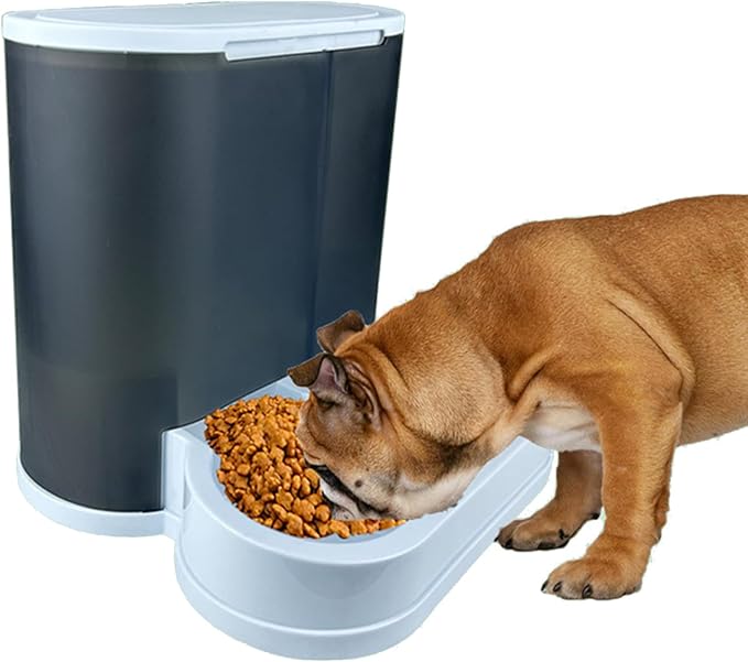 Large Capacity Pet Feeders with Water Dispenser Small Dog Cats Food Bowl Automatic Water Dispenser Watering Feeding Supply Large Capacity Pet Feeders