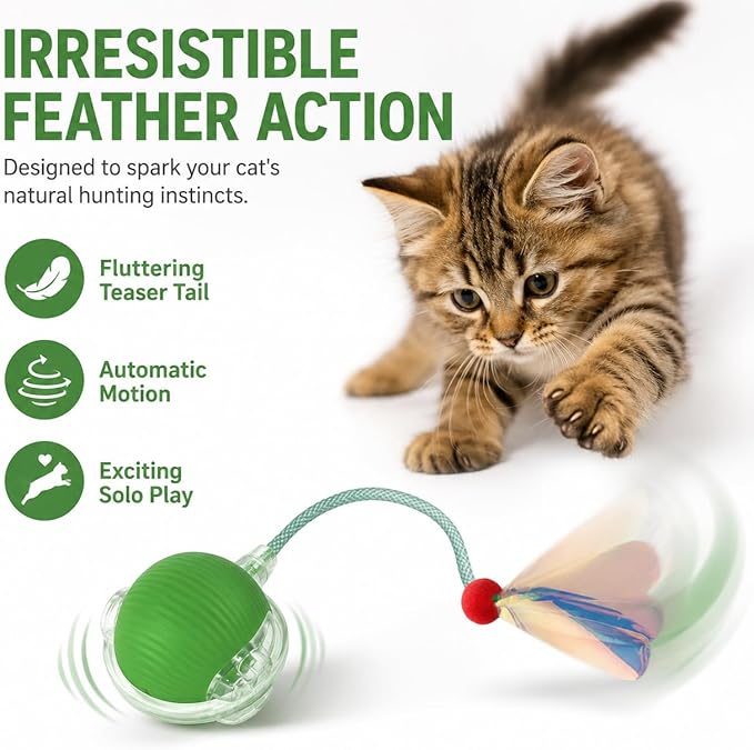 Interactive Cat Toy Ball with LED Lights – USB-C Rechargeable Automatic Cat Toy with Feather Tail for Indoor Cats & Kittens, Upgraded Version