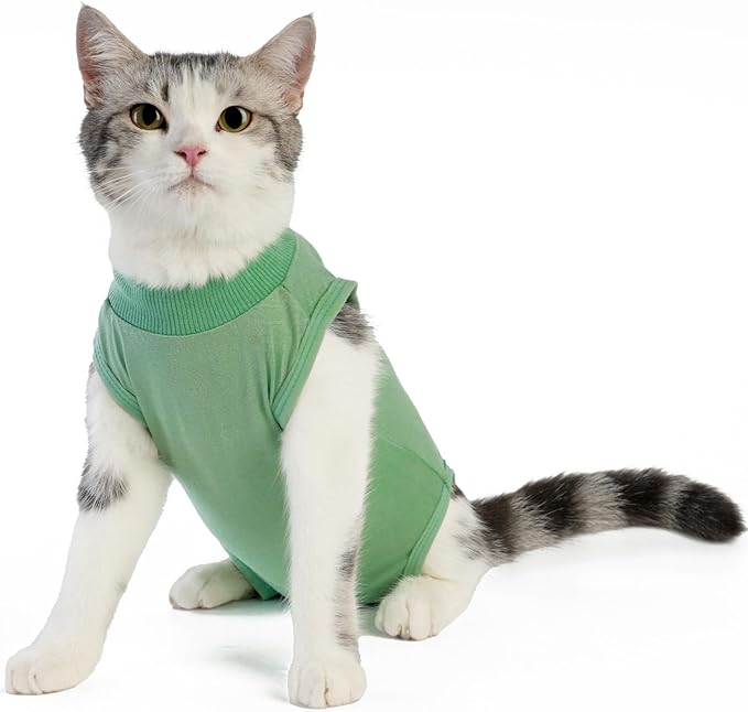 kzrfojy Cat Recovery Suit Cat Onesie for Cats After Surgery Female Male Spay Kitten Neuter Surgical Bodysuit Post Surgery Cone of Shame Alternative Anti Licking(Green, Medium)