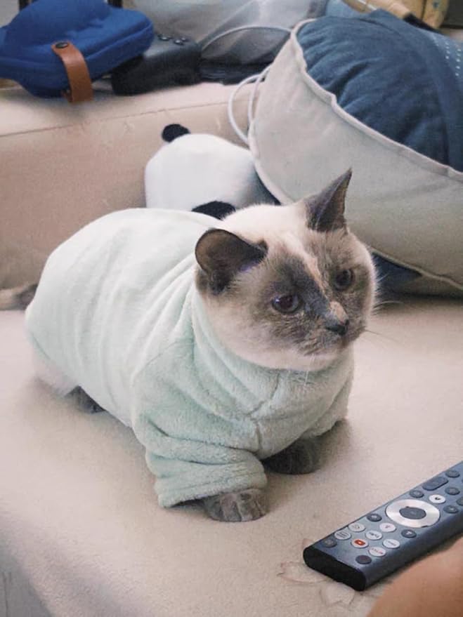 Sphynx Cat Clothes Winter Turtleneck Soft Coral Fleece Cat Clothes Thicken Warm Pajamas Coat for Hairless Cats and Small Cat Apparel with Sleeves (Forest Green, L (6-9.3lbs)