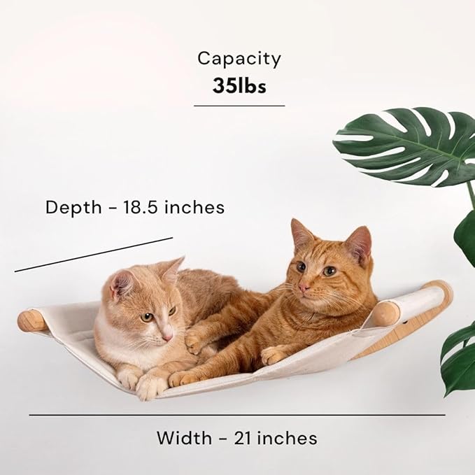7 Ruby Road Alto Cat Wall Hammock Set — Wall Mounted Cat Shelves & Furniture with Climbing Steps for Large Cats, Holds 35 lbs, Indoor Climbing & Lounging, Replaceable Cushion