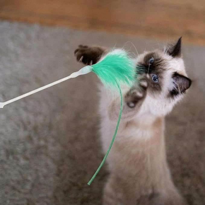 Lewtemi 9 Pcs Cat Toy Replacement Feather Wands Bulk Replacement Feather Sticks for Hide and Seek Cats Interactive Toys Indoor for Indoor Kitten