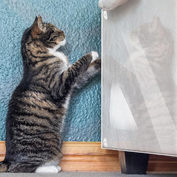 BESPORTBLE 1set Thickened Cat Scratch Furniture Protector Self-Adhesive Removable Film for Sofa Couch Bed Door Kit Scraper Fasteners Daily Use Cat Supplies