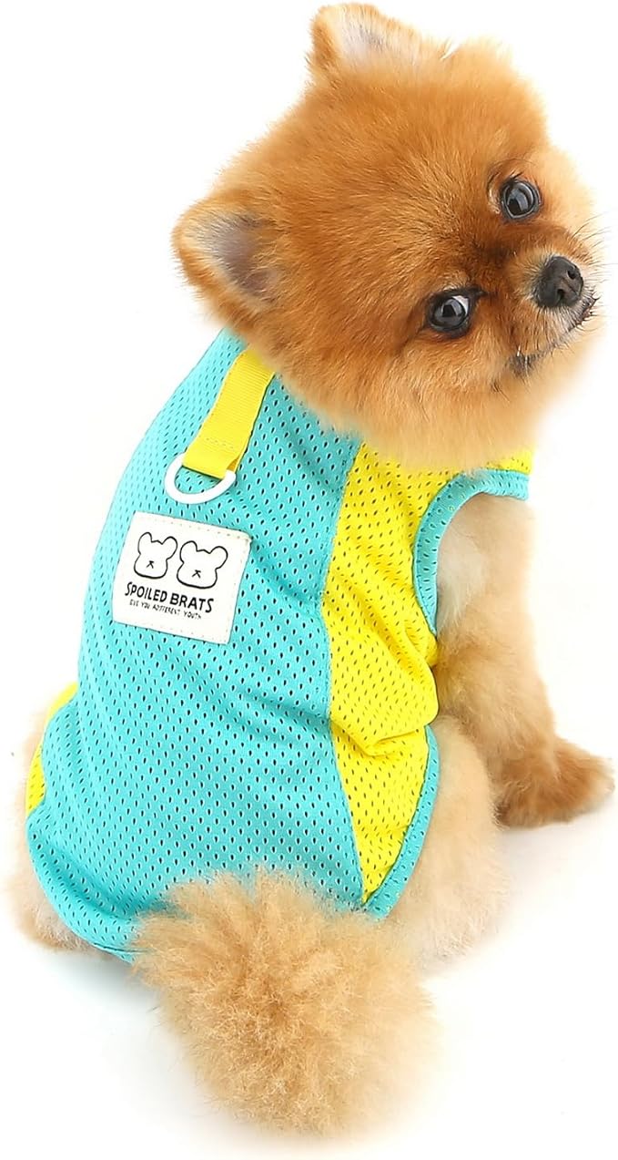 PAIDEFUL Breathable Mesh T-Shirt for Small Dogs Summer Doggie Cool Vest Soft Lightweight Puppy Tee Shirts Sleeveless Pet Tank Top Sweatshirts Cozy Chihuahua Clothes Cat Apparel D-Ring,Green,S