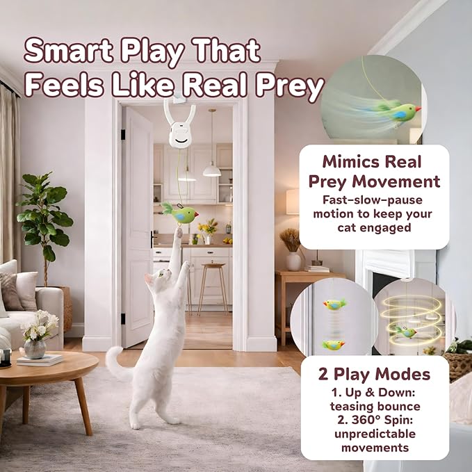 AIXINPET Interactive Cat Toys for Indoor Cats - 2 Motion Modes (360° Spin & Irregular Jumping), with Bird&Mouse attachments, USB Rechargeable Door Hanging Toy - for Kittens Adult Multi-Cats Households