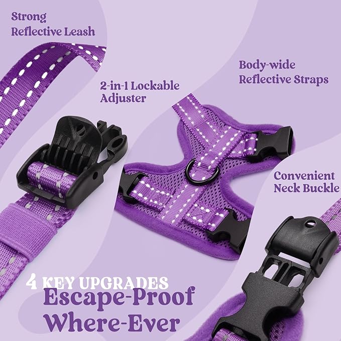 rabbitgoo Cat Harness and Leash, Escape Proof Vest with 3 Adjustable Buckles, Soft Comfortable Kitten Harness, Easy to Wear, Reflective for Safe Outdoor Walking, Medium, Purple