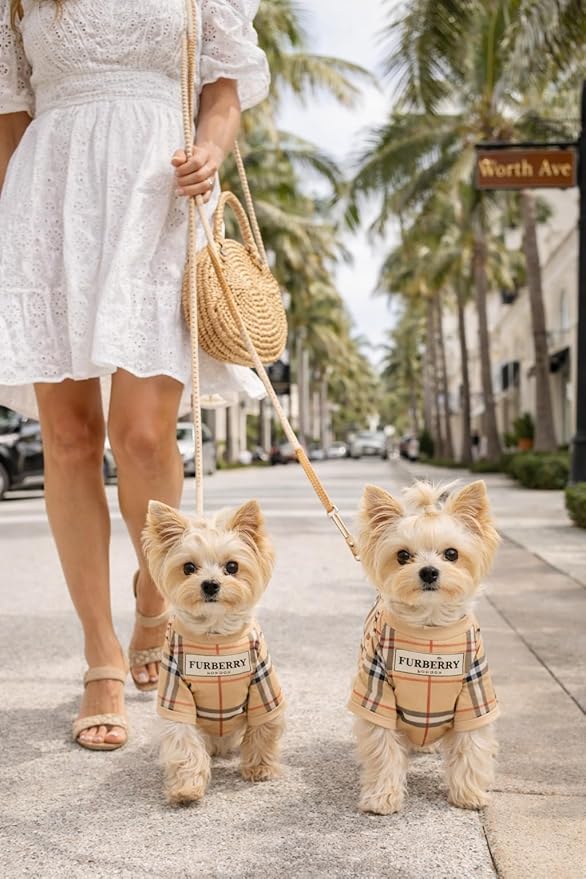 Luxury Designer Dog T Shirt – Trendy Puppy Clothes for Small Dogs, Fashion Pet Tee for French Bulldogs & Chihuahuas, Everything Chic Dog Apparel (FurberryTee, Small)