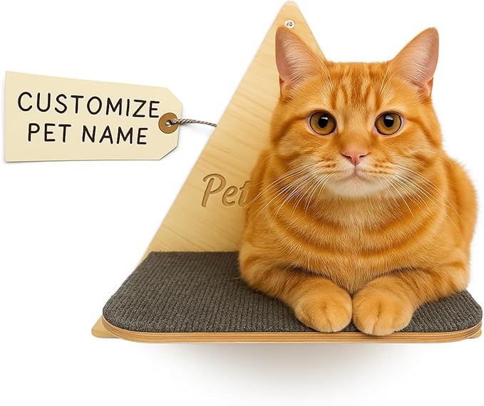 Personalized Wood Cat Shelf, Triangle Shelf Wall Mounted, Custom Cats Name Wood Cat Shelves Bed, Wooden Furniture Perch for Sleeping Playing Scratching