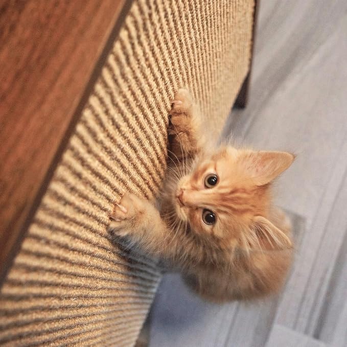 4 Cats & Dogs Wesley Cat Scratcher – Stylish & Durable Sisal Scratching Post Shelf, Vertical Scratch Board Furniture Protector, Indoor Wooden Cat Scratcher for Entryway Décor 20” x 11” x 40”- Walnut