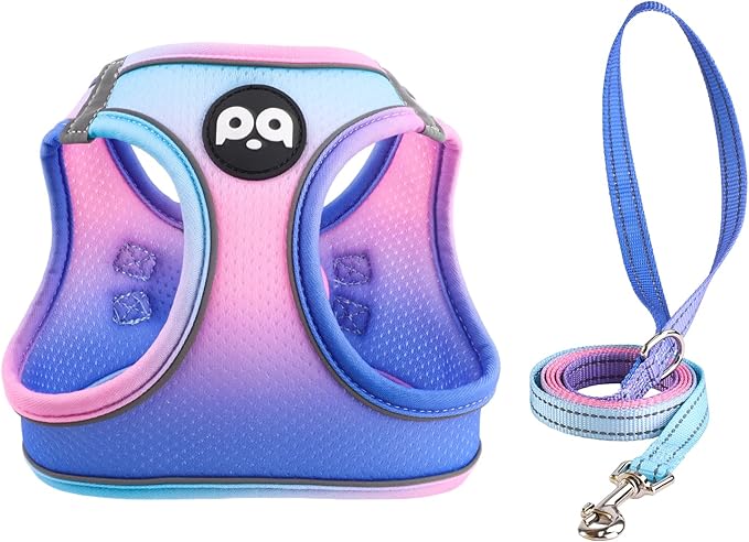 QQPETS Cat Harness and Leash Set for Walking Escape Proof, Safe Adjustable Kitten Vest with Reflective Strips, Easy Control Soft Mesh Lightweight Jacket (Blue-Pink Gradient, M(15.7”-17.7”))