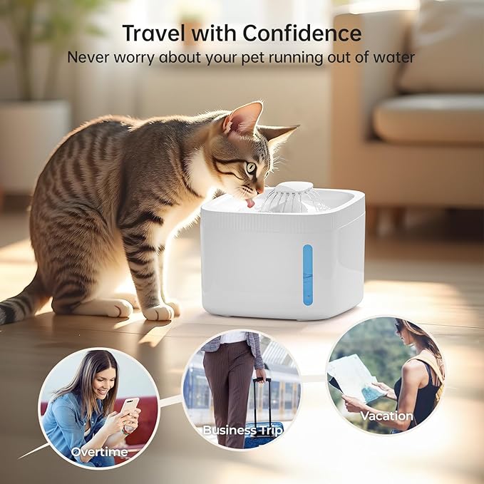 Lyght Automatic Cat Water Fountain, Pet Water Fountain with 101oz/3L Large Capacity, BPA-Free Plastic, LED Indicator, Dog Water Bowl Dispenser