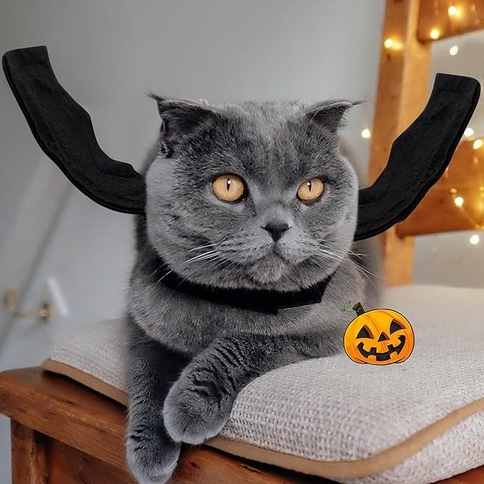 Rypet Bat Wings Pet Costume, Polyester Felt Cloth, Small, Halloween, Unisex, Durable, Easy to Clean, Bat Wings Costume for Small Dogs Cats