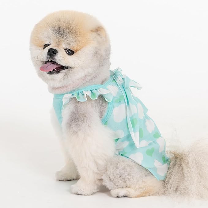Pinkaholic New York Suri Dog One-Piece Dress Trendy Fashionable Cute Elegant Dog Apparel for Small Dogs, Mint, Medium