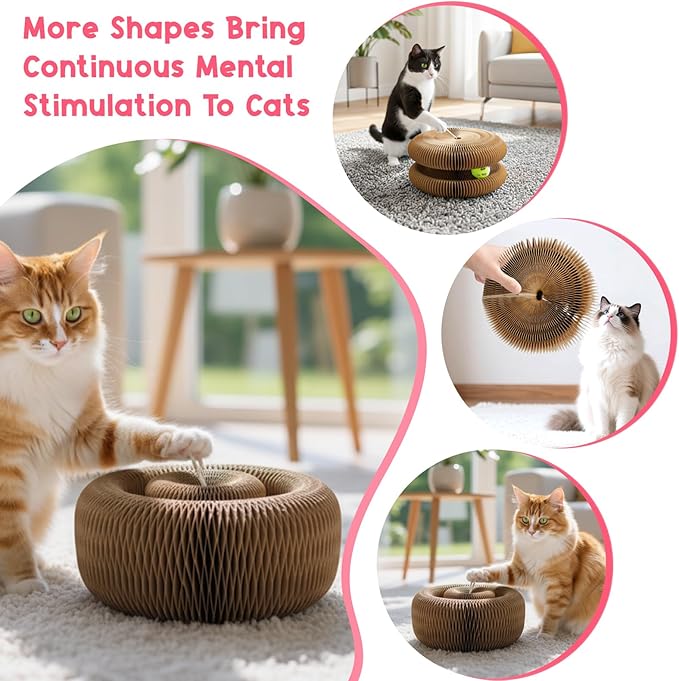 Kitty Curls Cat Toy (Large) Twisty Paws Kurlz | Magnetic Magic Organ Cat Scratcher | Interactive Cardboard with Bell Ball & Hanging Teaser | Honeycomb Design | 1 pcs Teaser 1 pcs Scratcher