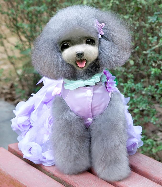 SMALLLEE_Lucky_Store Pet Small Dog Wedding Dress with Bowknot Birthday Party Costume Satin Rose Pearls Girl Formal Dress Cat Tutu Purple Violet XL