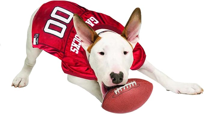 Pets First NCAA College South Carolina Gamecocks Mesh Jersey for DOGS & CATS, Large. Licensed Dog Jersey with your Favorite Football/Basketball College Team