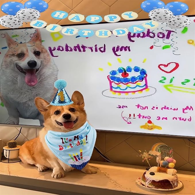 Dog Birthday Party Supplies with Bandana and Party Hat with Numbers, Happy Party Banner and Bollon for Small Middle Dogs Blue Birthday Boy Girl Scarf (Blue)