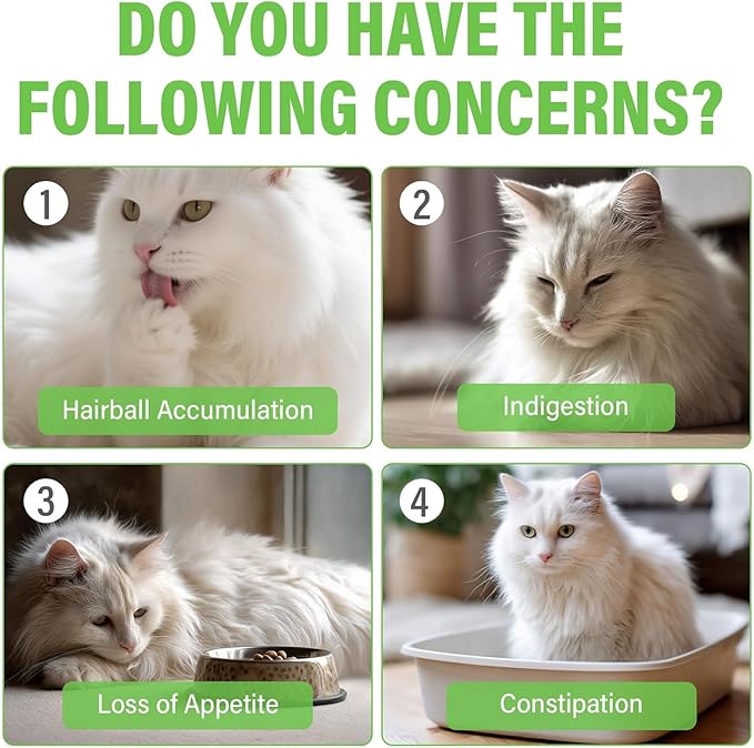 Cat Grass Treats for Indoor Cats, Digestive Health Support with Wheat Grass, Hairball Control Chews, Natural Grain-Free Snack for Kittens