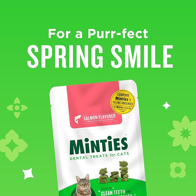 Minties Dental Treats for Cats, Salmon Flavored Treats for Cats, Freshens Breath and Controls Tartar, 2.5oz