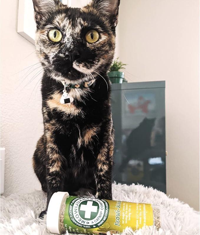 Meowijuana | Catnip Bundles | Organic | High Potency Cat Treats | Perfect for Cat Toys | Grown in The USA | Feline and Cat Lover Approved (Mice Dreams Catnip Bottle Bundle)