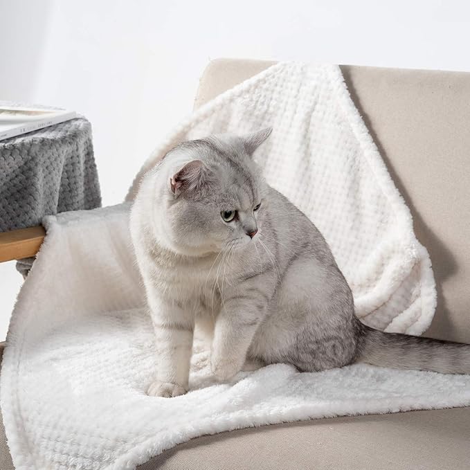 Warm Soft Fuzzy Dog or Cat Blanket, Plush Fleece Throws for Puppy, Kitten, Medium, Large Dogs - Ivory (S/24" x 32")