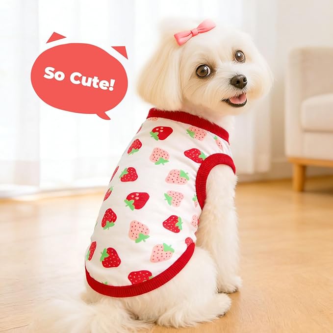 PETCARE Cartoon Dog Shirts for Small Dogs Cute Dog Clothes Red Strawberry Tshirt Soft Cotton Puppy Pajamas Breathable Sleeveless Pet Tank Top Spring Summer Dogs Clothes for Chihuahua Yorkie Shih Tzu
