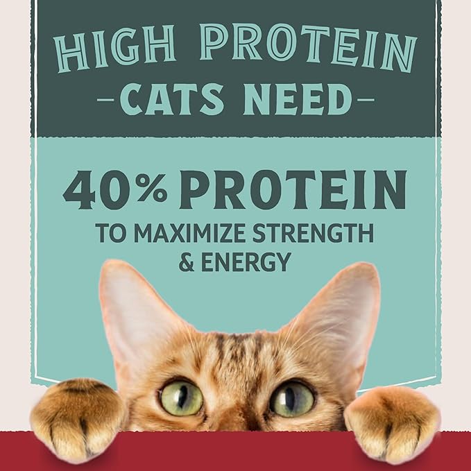 Natural Balance Ultra Protein Dry Cat Food, Real Chicken & Chicken Meal Recipe with Protein-Rich Organs - 3 lbs.