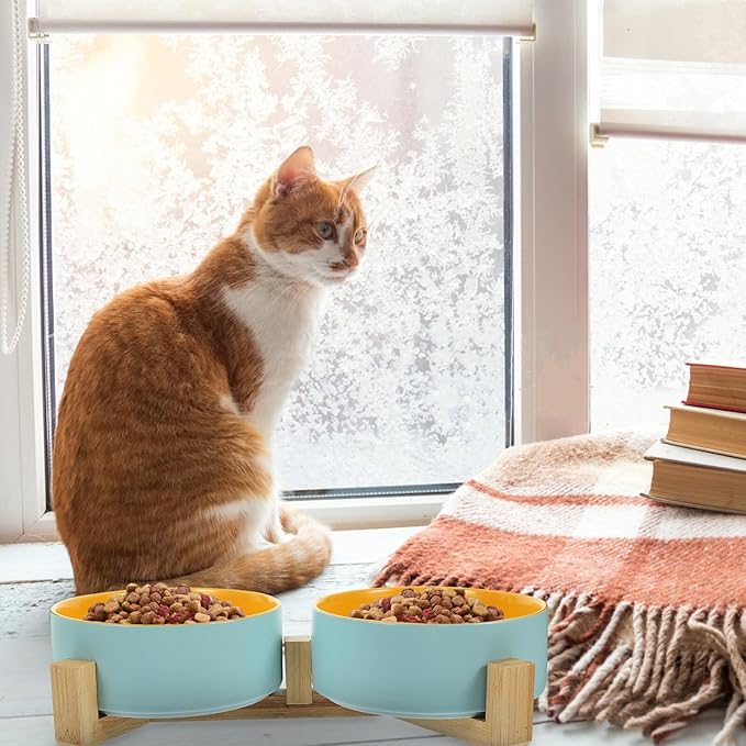 TEHAUX Ceramic Elevated Cat Bowls with Matte Two-Tone Blue and Yellow Inner Bowls and Dual Wooden Stand, Small Size Feeding and Watering Station for Kittens and Cats
