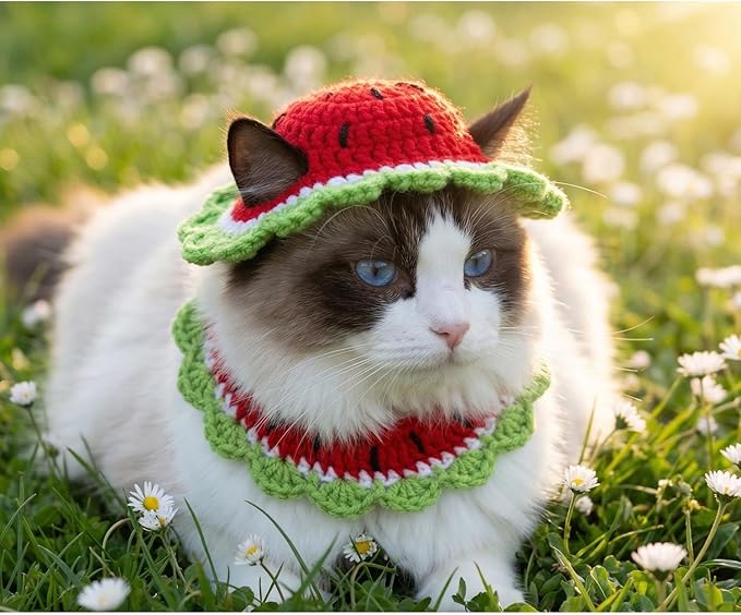 Handmade Crochet Watermelon Kitten Cat Hat Bowtie Collar | Cute Knitted Breakaway Cat Tie Collars Ideal for Birthdays, Pet Parties, Seasonal Celebrations (Red and Green)