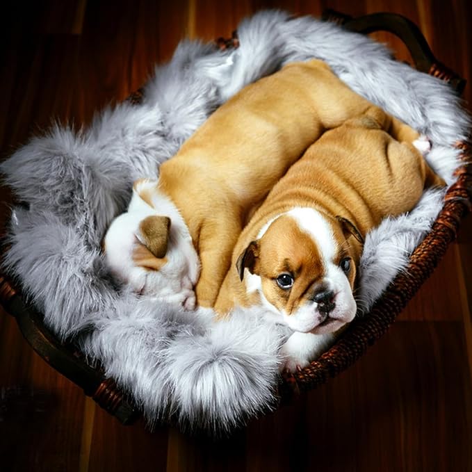 Dog Cat Bed Mat 19.6x31.4 inch, Washable Soft Plush Faux Fur Fluffy Puppy Pads Blanket for Indoor Pet Sleep Cushion Grey