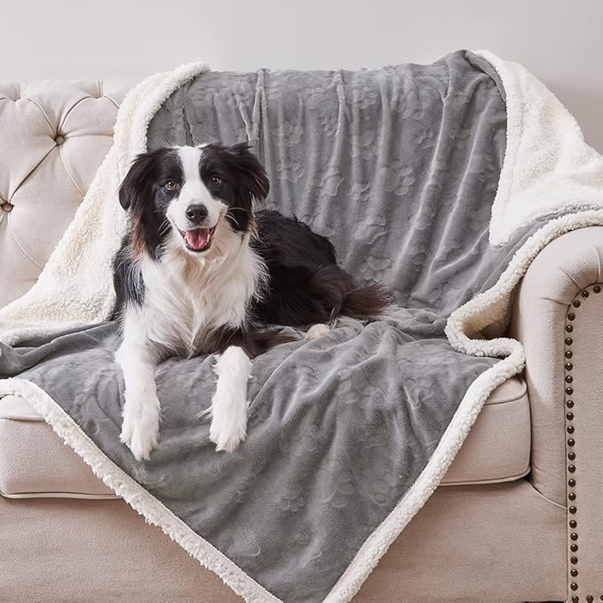 Qeils Waterproof Blanket for Bed, Dog Blankets for Large Dogs, Waterproof Cat Blanket Washable, Soft Sherpa Fleece Puppy Blanket, Reversible Throw Protector for Couch Car, 50"X60", Grey