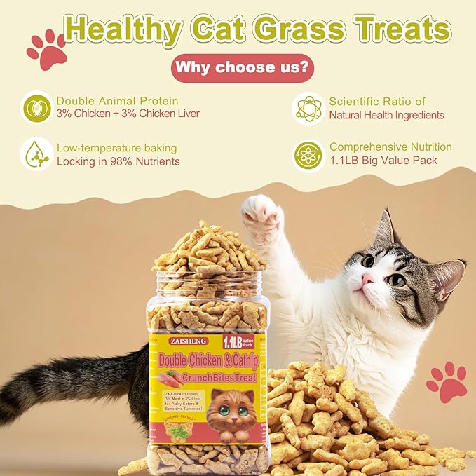 17.6 oz Cat Grass Treats for Indoor Cats - Hairball Control Natural Chicken & Catnip Flavor Healthy Kitten Snacks Crunchy Training Biscuits for Dental Cleaning