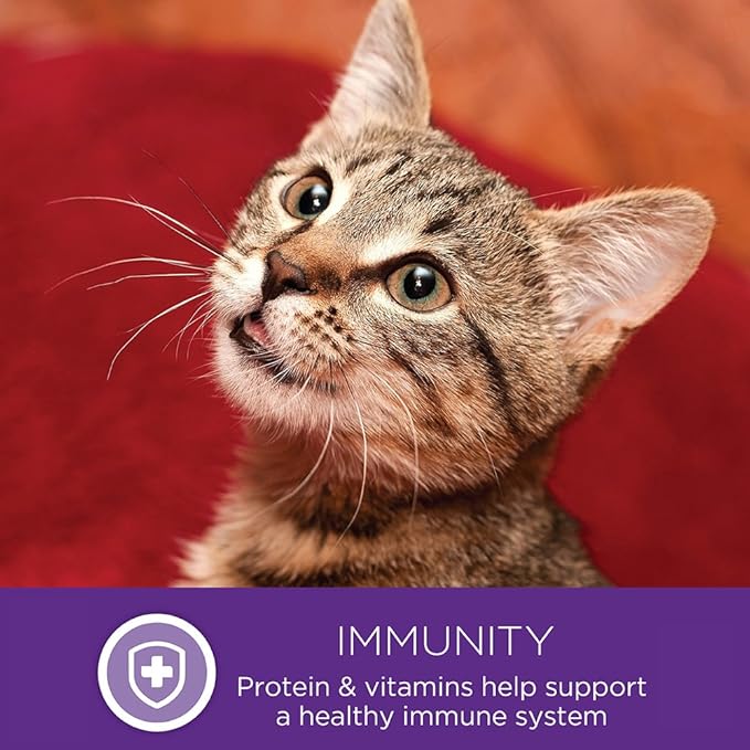 Wellness Healthy Indulgence Morsels Adult Wet Cat Food, Natural, Protein Rich, Grain Free, Turkey and Duck Recipe, 3 oz, Pack of 24 Pouches