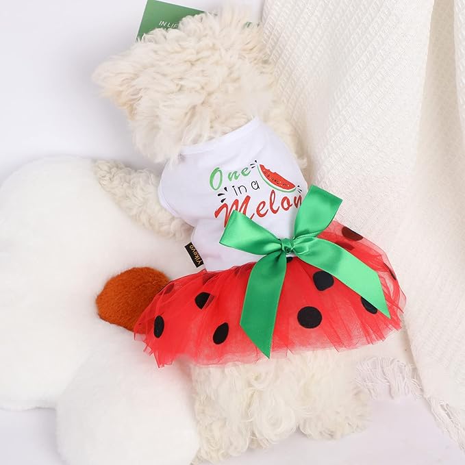 Small Dog Dress for Girl Watermelon Polka Dots Mesh Outfit, Summer Fall Tutu Dresses Cat Apparel, Cute Pet Puppy Clothing Doggie Outfits (X-Small, Watermelon Red)
