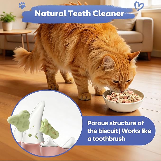 13.4 OZ Catnip Cat Treats for Indoor Cats, Mixed Flavor Biscuits with Salmon Shrimp Tuna Cat Grass, Hairball Control & Dental Care Kitten Snacks Crunchy Training Bites for Teeth Cleaning