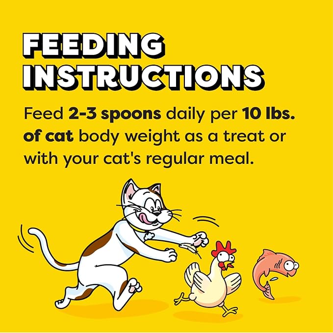 Temptations Lickable Spoons, Soft Lickable Cat Treats, Adult Wet Cat Treats, Salmon Flavor with Chicken Chunks, 4 Spoons, Pack of 12 (48 Total)
