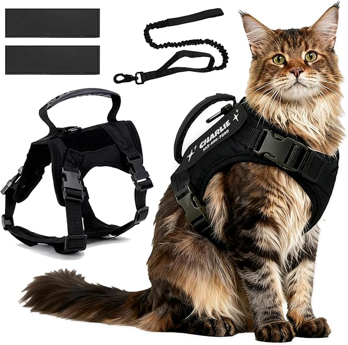Cat Harness and Leash Escape Proof Tactical Cat Harness with Custom Patches Adjustable Soft Vest for Walking & Training Comfortable Outdoor Gear Fits Small Medium Large Cats (8-20 lbs)
