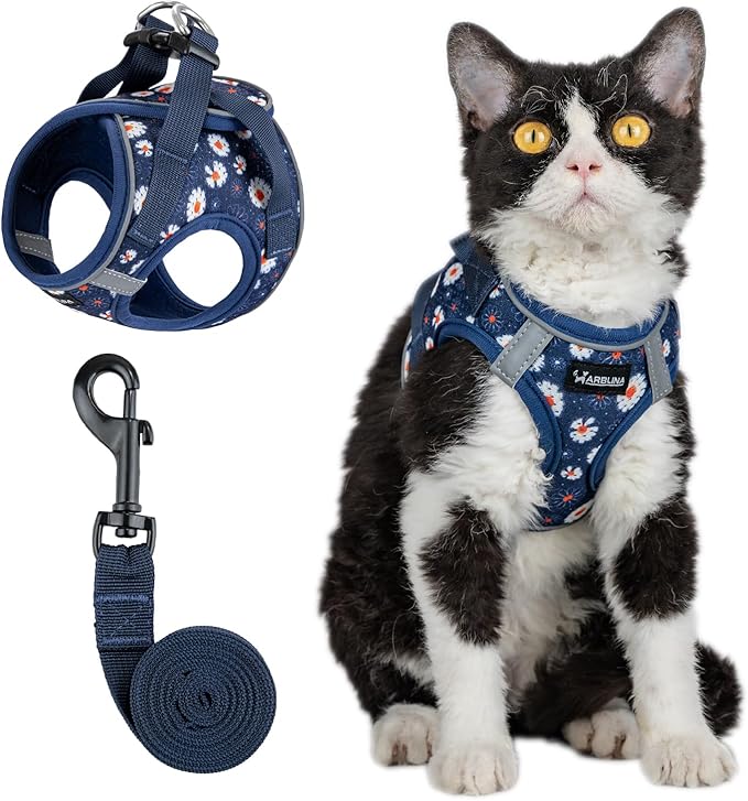Arblina Soft Mesh Cat Harness and Leash Set for Walking,Escape Proof No Choke Step in Kitten Vest Harness,Reflective Ajustable Puppy Vest for Traveling