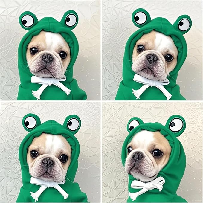 Pet Clothing Dog Transformation Frog Hoodie Autumn and Winter Warm Small Large Dog Method Dou Cat Bullfighting Clothes (Frog,2XL)