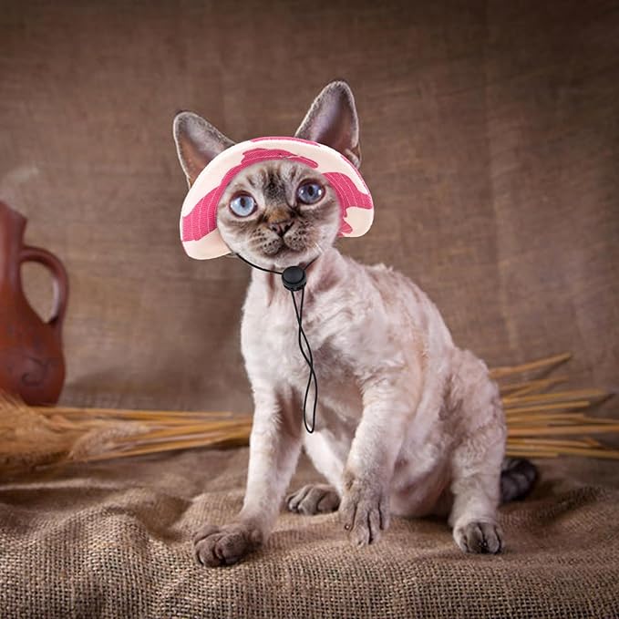 QBLEEV Cat Hats for Cats Only, Sphynx Hat with Ear Hole, Hairless Cat Cowboy Hats for Birthday Party Halloween, Kitten Headwear Sun Sombrero Caps, Chihuahua Sunscreen Baseball Outdoor Climbing Cap