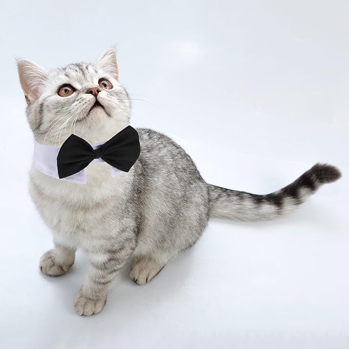 Shappy 3 Pieces Adjustable Pets Dog Cat Bow Tie Pet Costume Necktie Collar for Small Dogs Puppy Grooming Accessories (S)