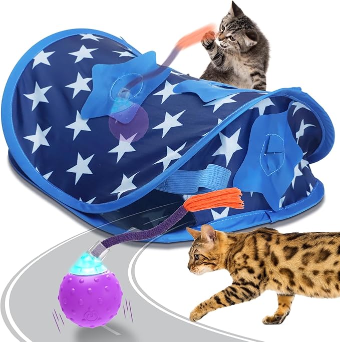 Interactive Cat Toys Hide-and-Seek, Touch to Activate, Quickly Roll in The Brood Bag, Real Mouse Squeaking Sound, The Best Cat Toy for Bored Indoor Cats
