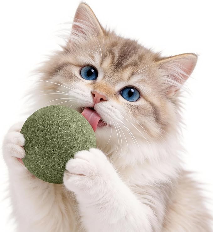 3.15 Inches Giant Catnip Ball, Lickable Cat Nip Ball, Interactive Cat Balls for Bored Adult Cats Indoor, Jumbo Kitty Teeth Cleaning Chew Dental Toy