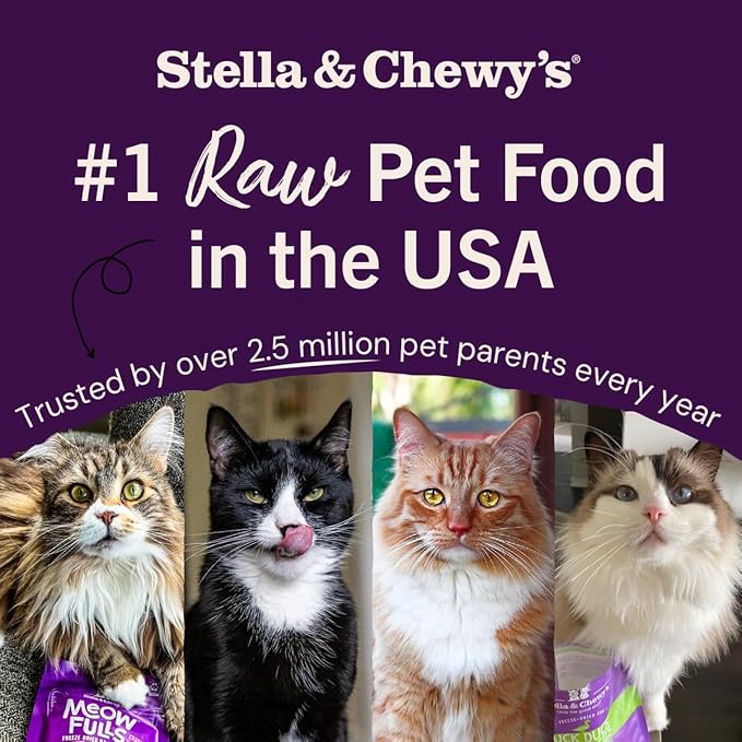 Stella & Chewy's Freeze-Dried Raw Cat Dinner Morsels - Premium Turkey Recipe with 98% Farm-Raised Meat & Organs - Natural Grain-Free Cat & Kitten Food - Made in USA - 18 oz