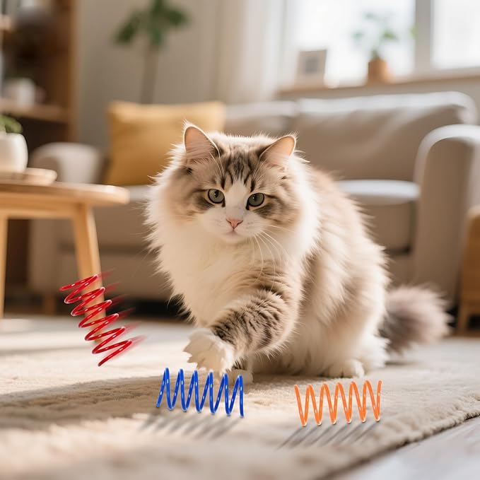 72 PCS 12 Colors Cat Spring Toys for Indoor Cats, Cat Kitten Toys Plastic Coil Spiral Springs for Swatting, Biting, Hunting