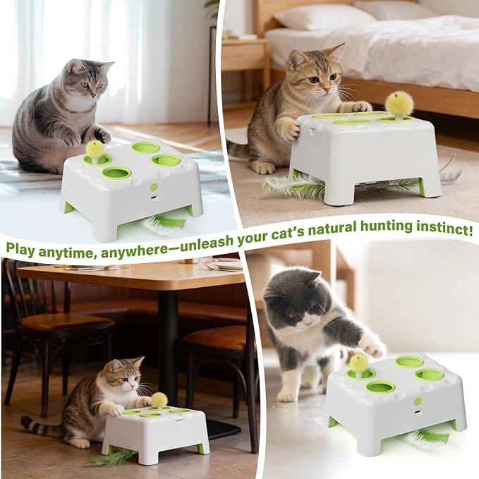 Magic House Interactive Cat Toy with 3 Modes, Rechargeable Whack-a-Mole Feather Toy for Indoor Cats, 4 Holes & 4 Accessories