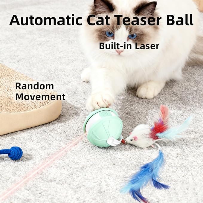 Interactive Cat Toy Ball for Indoor Cats, 2-in-1 Smart Moving Cat Ball with Feather Accessories, Automatic Kitten Toys for Bored Indoor Cats, USB Rechargeable Ideal for Small and Medium Cats