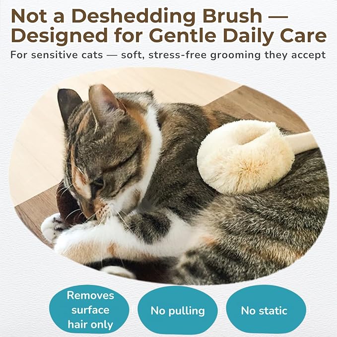 Wablade Cat Brush, Gentle Grooming Brush for Sensitive Cats & Kittens – Soft Grooming & Massage, Gently Removes Loose Surface Fur (Not a Deshedding Tool), Sisal, Made in Japan (Type-B)