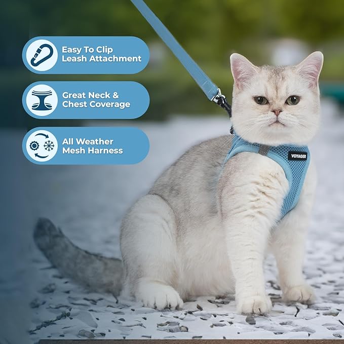 Voyager Step-in Pet Harness - All Weather Mesh, Adjustable Step in Harness for Cats and Dogs by Best Pet Supplies - 307S Baby Blue, XXXS